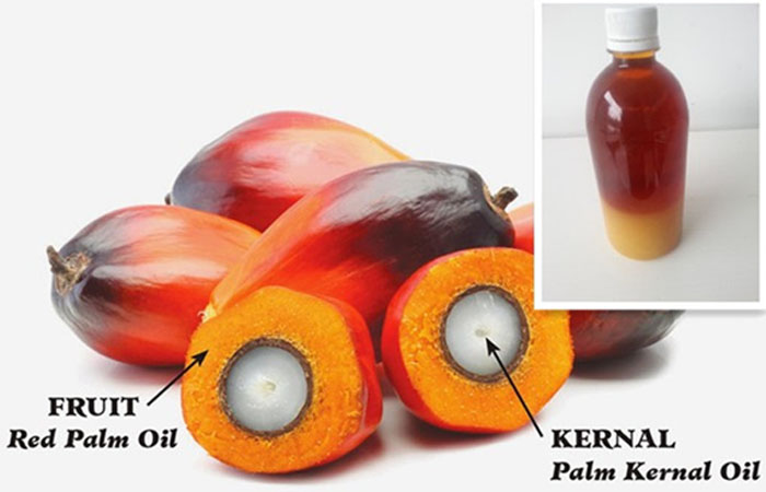 palm kernel oil