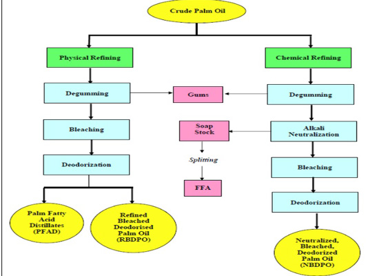 the structure of palm oil refining