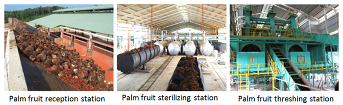 palm oil processing machine