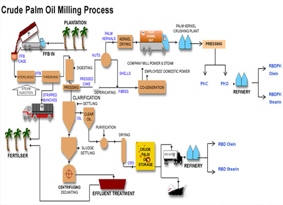 palm oil mill process